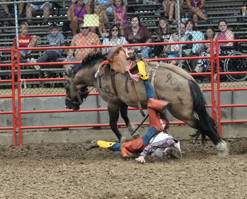 Photos Ogle County Fair Shaw Local
