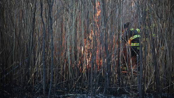 Nearly 4 acres of marshland consumed by fire Saturday near Cary