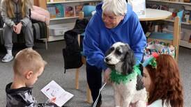 Kids can read to therapy dogs at Yorkville Library program