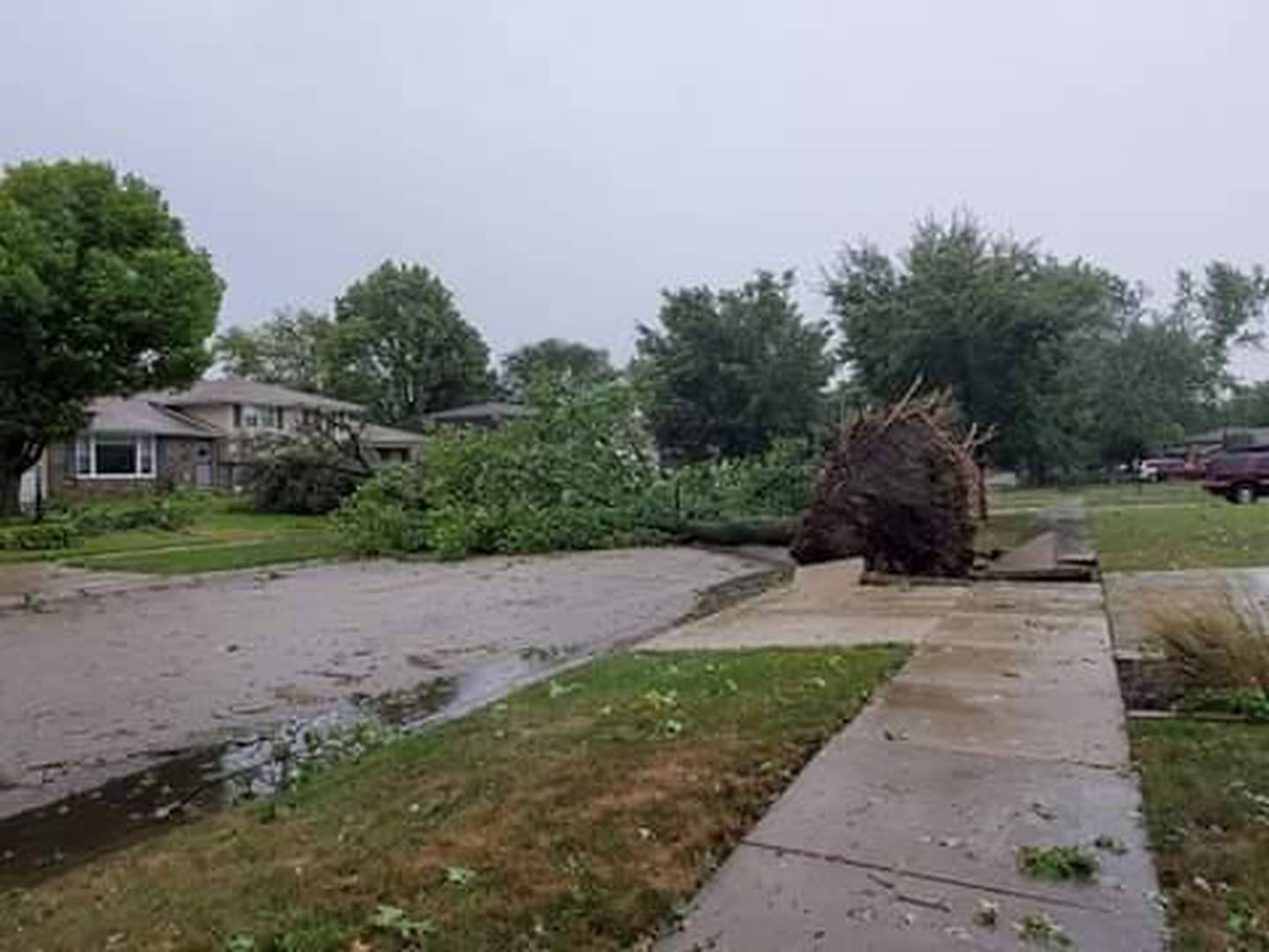 Joliet 2020 derecho