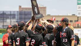 Baseball: Henry loses 8-0 to Gibault Catholic in Class 1A state title game