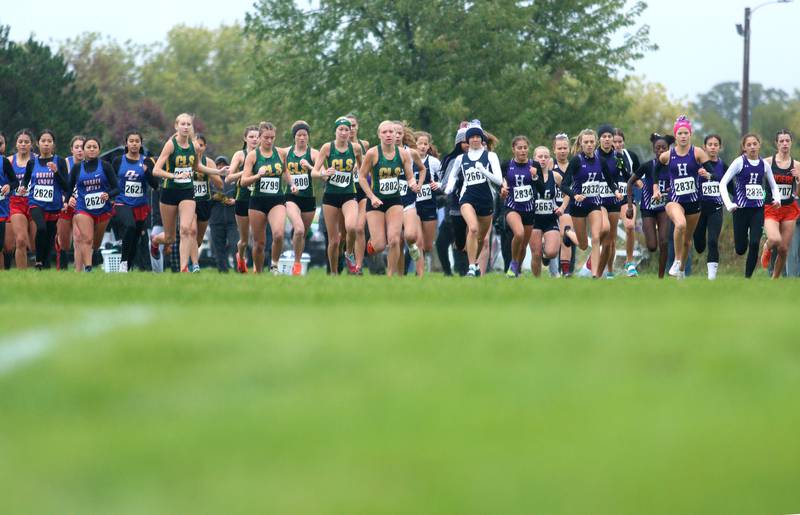Runners begin the Fox Valley Conference Girls Cross Country Meet at Plato Park in Elgin Saturday.