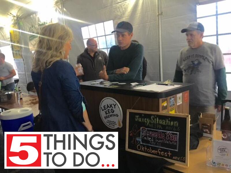 Northwest Herald file / Beer vendors talk to a customer at the third annual Lake in the Hills Pub in the Park craft beer and food truck festival Saturday, Oct. 14, 2017, at Sunset Park.