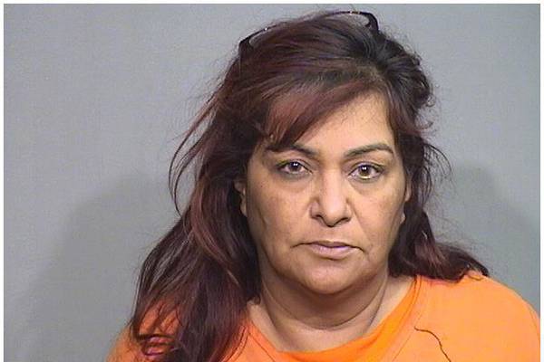 Woman with alleged ties to Mexican drug cartel pleads guilty in McHenry County after arrest with son