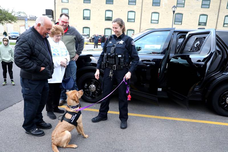 River, the Batavia Police Department’s new 11-month-old comfort dog, meets the public with her handler, Officer Liz Webb, before being sworn in on Monday, April 21, 2025 during a Batavia City Council meeting.