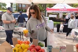 A guide to farmers markets in DuPage County