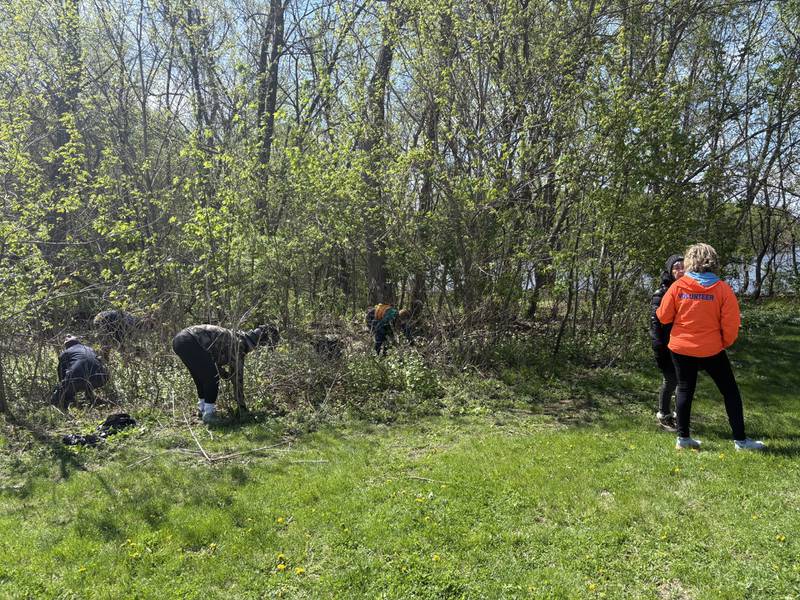 A group of volunteers cleanup a wooded area along the I&M Canal during the 10th annual Perfectly Flawed Earth Day cleanup at Lock 14 on Saturday, April 18, in La Salle.