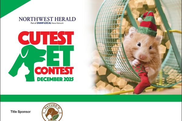 December Cutest Pet Contest