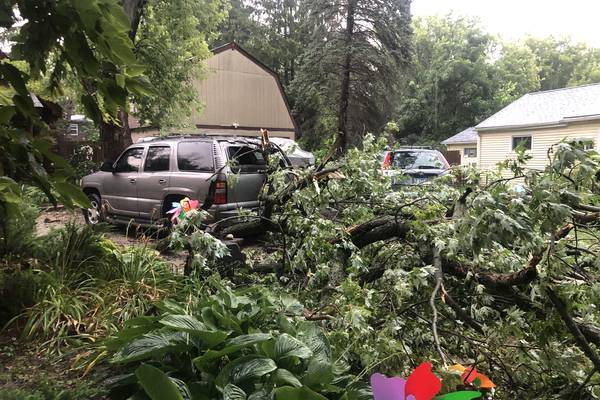 Storm knocks out power, trees in McHenry County on Saturday