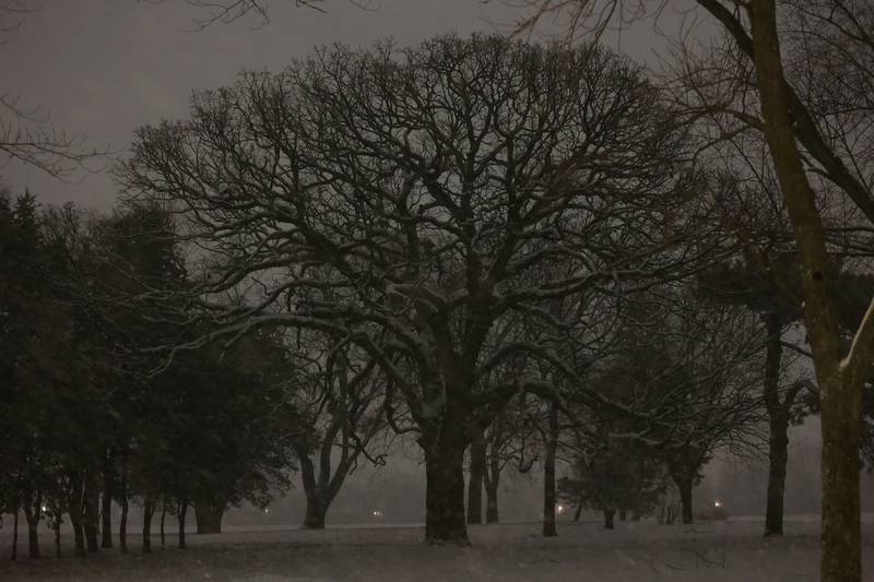 A tree along Essington Road collects snow as the heavy snow comes late Tuesday night. Wednesday, Feb. 2, 2022 in Joliet.