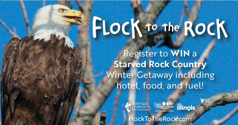 flock to the rock 2023 promo