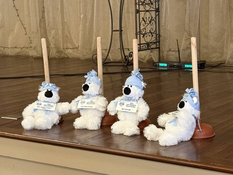 Awards lined up for the 9th annual Mendota Polar Plunge on Saturday, Feb. 28, 2026.