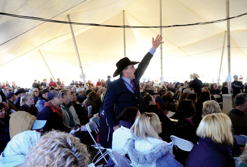 A bid catcher relays a bid to the auctioneer September 23, 2012 as thousands pack a tent at the Crundwell ranch to witness and bid on ther former comptroller's estate.