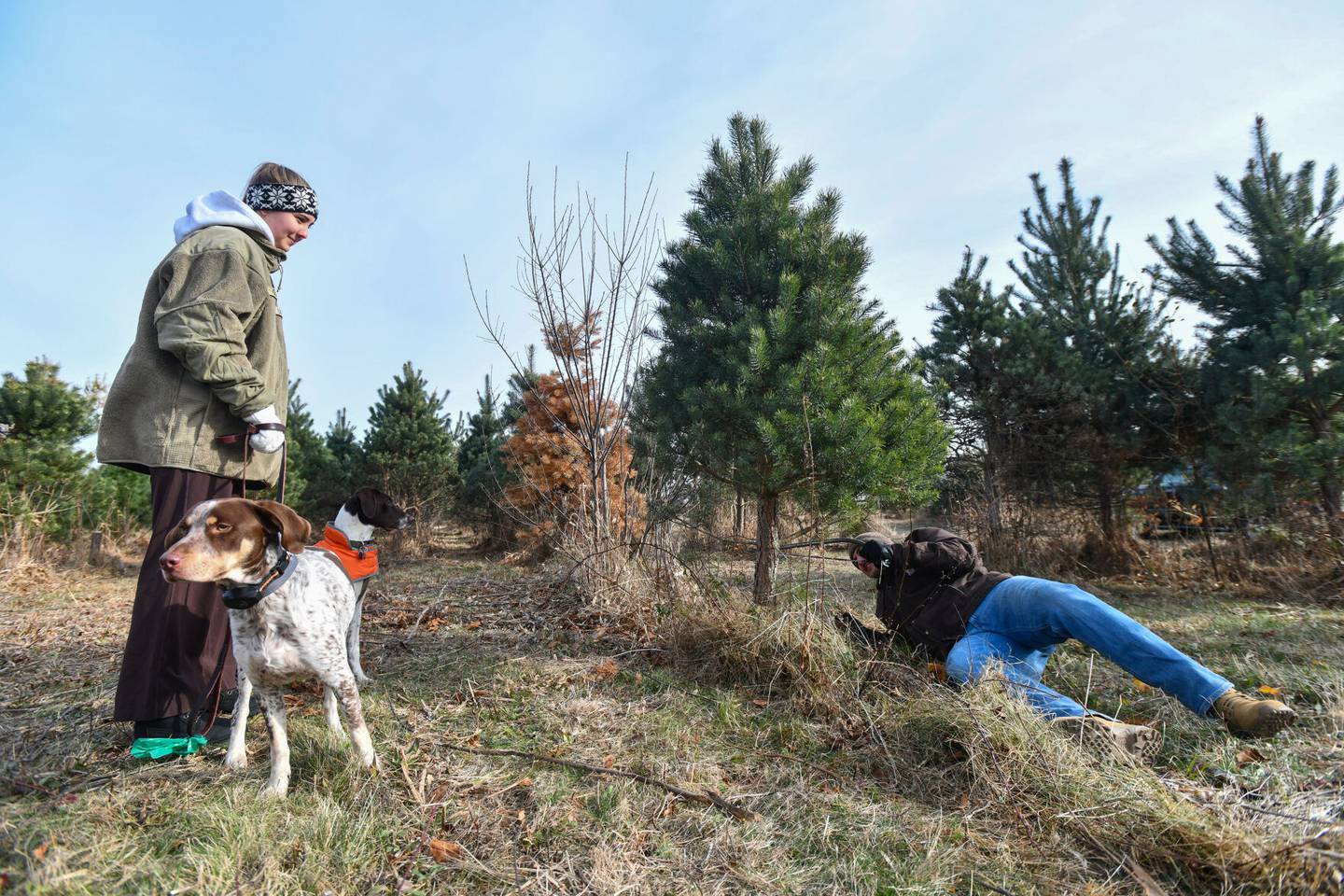Lauren Lesak, left, holds on to her dogs, Hunter and Rowan, as John Gordon cuts down a tree at Tammen Treeberry Farm in Wilmington on Nov. 30, 2024.  Lesak and Gorden are from Downers Grove and while this was Lesak's first visit to the farm, Gordon's family, of Joliet, has gone to Tammen's for Christmas trees for decades.
