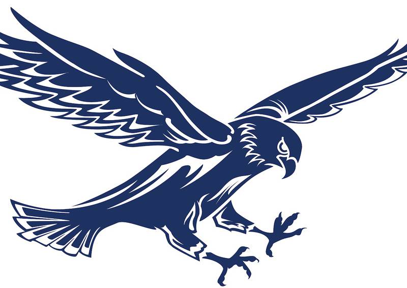 Hiawatha Hawks logo
