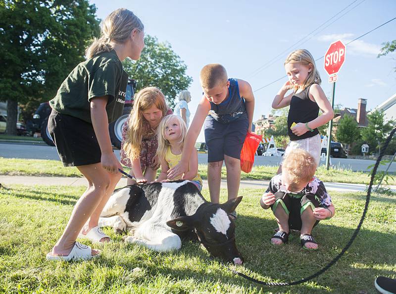Kids gather around a calf brought in by the AFC FFA during a family fun day during Dixon’s Petunia Fest on July 1, 2022.