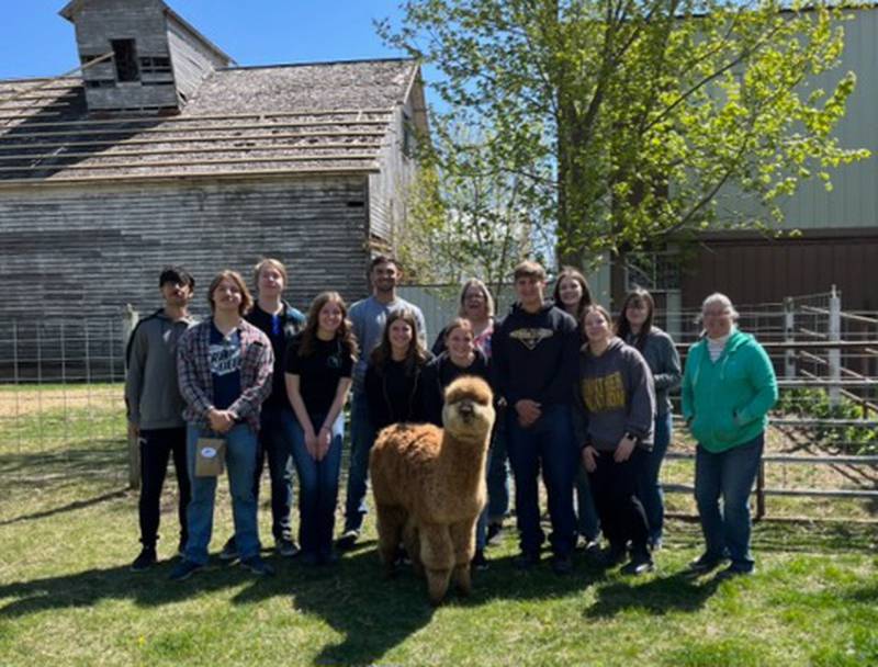 Putnam County High School Spanish 4 students visited Prairie Central Alpacas and Alpacas Store in Earlville after completing a unit on alpacas.