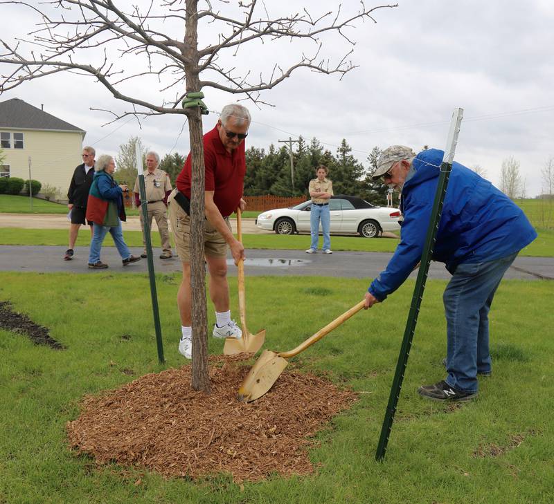 Chet Cybulski and Rob Houtz, members of the Village of Elburn’s Tree Board, help spread mulch on a newly planted tree in honor of Arbor Day on Saturday, April 27, 2024 at Oak Park in Elburn.