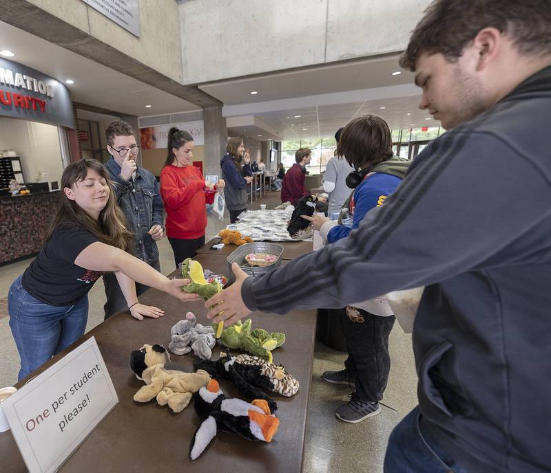 Cadence Kruse, VP of SVCC’s student government, hands out a stuffed alligator Wednesday, Nov. 13, 2024.