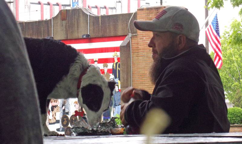 Proving the Streator Food Truck Festival isn't just fun for humans, a dog gets a taste of some food Saturday, May 21, 2022, underneath one of the picnic shelters at the City Park.
