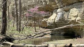 Illinois state parks draw highest number of visitors in more than a decade