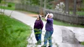 Go bird watching in Kane County with local naturalists