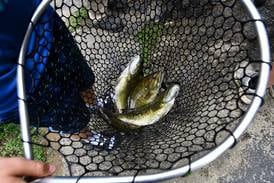 Kankakee River Fishing Derby begins Friday