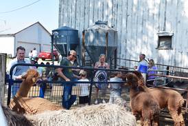 Down on the Farm: Visitors check out furry friends at P&C Little Rascals’ open house in Chadwick