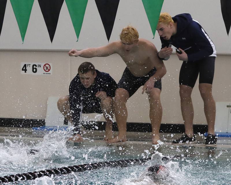 Teammates cheer on Cary-Grove’s Matthew Herrom as he competes in the 100 butterfly during the Fox Valley Conference Invitational swim meet on Saturday,  Feb. 15, 2025, at Woodstock North High School.