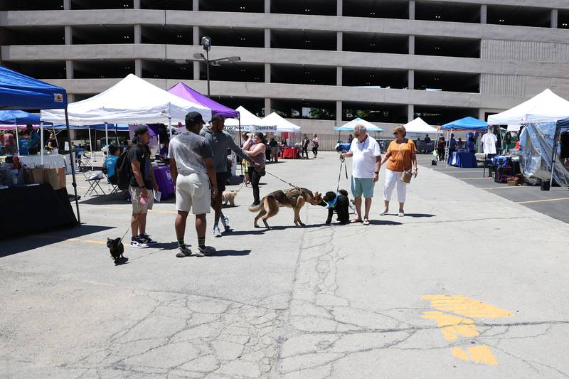Paws on 66 Pet Rescue Day on Saturday in Joliet featured pet-related vendors and adoption and rescue agencies.