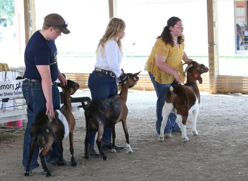 Joey Vinyard and his sister Gracie of Washburn and Eliza Ehnis of Washburn show their goats during the Marshall-Putnam 4-H Fair on Wednesday, July 19, 2023 in Henry.