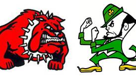 Seneca baseball, softball top Streator: The Times Friday Roundup