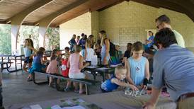 Photos: Monarch butterfly festival in Westmont