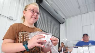 Photos: Peru girl donates 400 pounds of beef to Hall Township Food Pantry