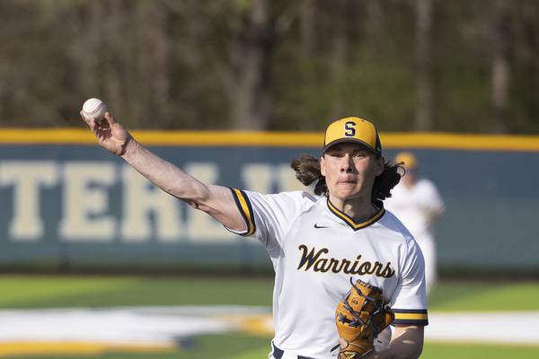 2026 Sauk Valley prep baseball season preview capsules