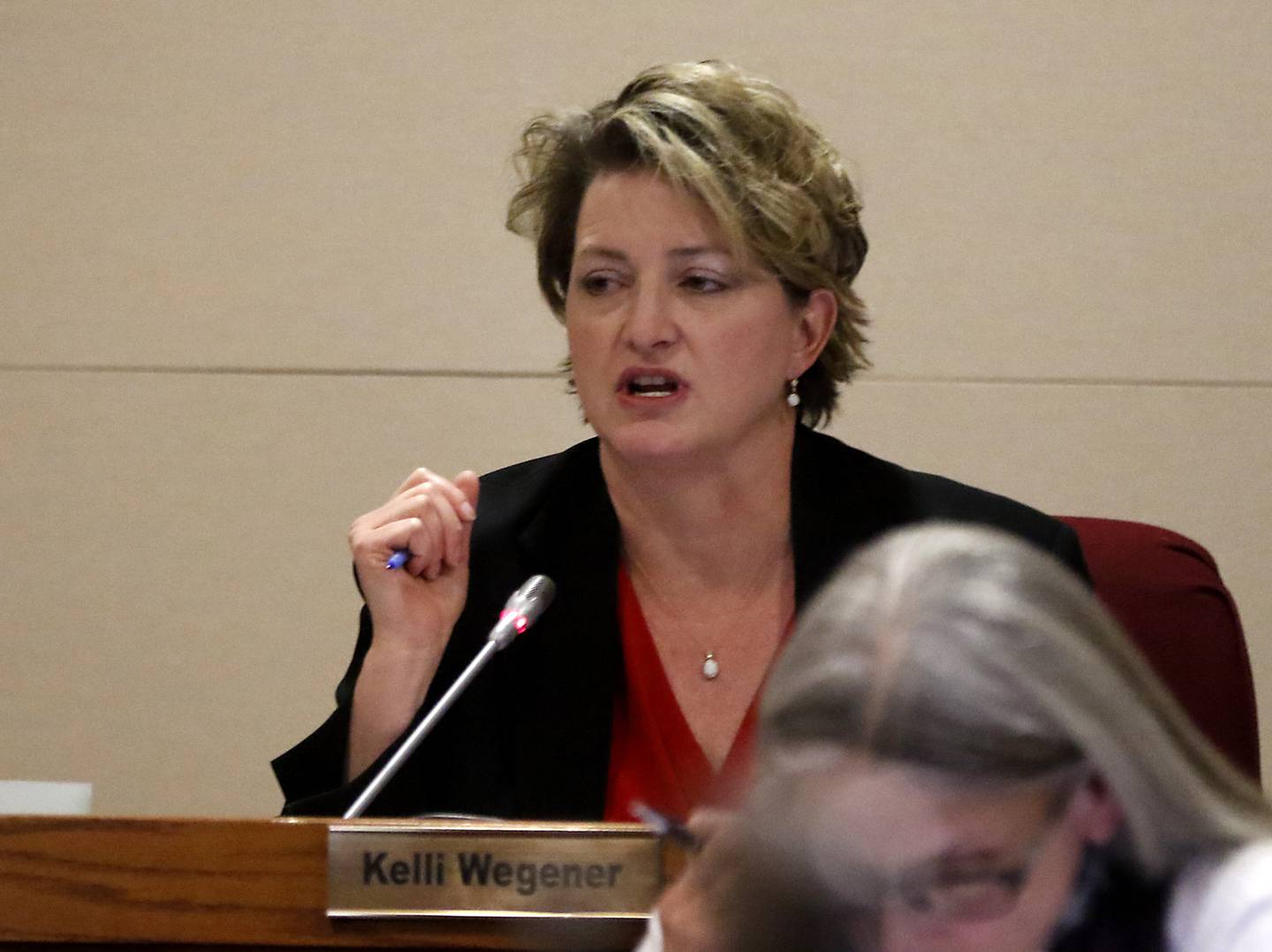 McHenry County Board member Kelli Wegener debates a resolution opposing the Illinois gun ban and supporting its repeal at the McHenry County Board meeting Tuesday, Feb. 21, 2023, in the McHenry County Administration Building.