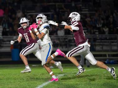 Prairie Ridge High aims to sell naming rights for renovated stadium with artificial turf