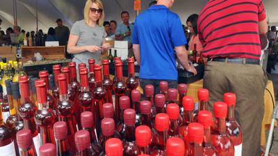Ottawa to amend alcohol in parks ordinance, but residents won’t be bringing their own to family gatherings