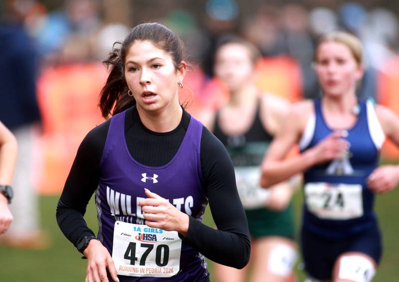 Wilmington's Brooklyn Flores competes in the Class 1A State Cross Country Championships on Saturday, Nov. 9, 2024 at Detweiller Park in Peoria.