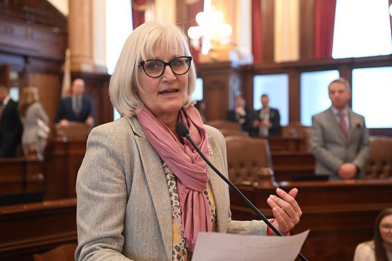 State Sen. Mary Edly-Allen, D-Libertyville