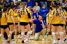 Photos: Princeton Logan sectional volleyball championship