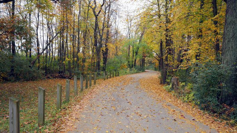 Fall colors have arrived in Starved Rock Country. George "Skip" Hupp submitted this photo of autumn foliage at the entrance to Point Shelter Park at Starved Rock State Park. The Illinois Bureau of Tourism and the Illinois Department of Natural Resources shared their annual Fall Color Report, citing this week as a peak time for leaf peeping.