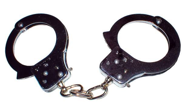 Fox Lake man pulled gun on neighbor after exchange over loose dog, police say; several firearms seized