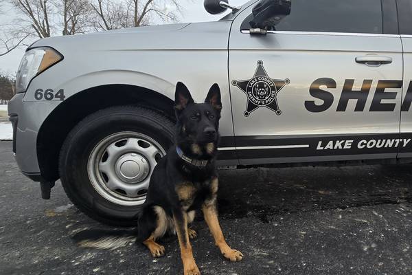 Lake County Sheriff’s Office K9 Hemi to receive body armor