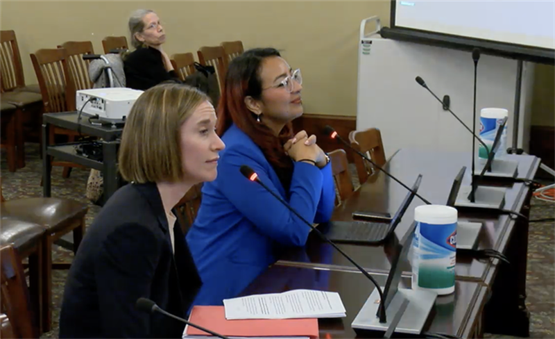 Rep. Dagmara Avelar (right), D-Bolingbrook, and Allison Clements, executive director at the Illinois Housing Council, testify in favor of the Build Illinois Tax Credit in the House Revenue Committee Thursday.