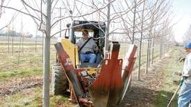 State agency says utility outages can be reduced by calling ahead before you dig on spring projects