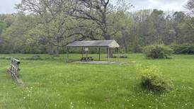 HumanKIND Initiative and Safe Journeys to put on ‘Succulents & Self-Care’ event