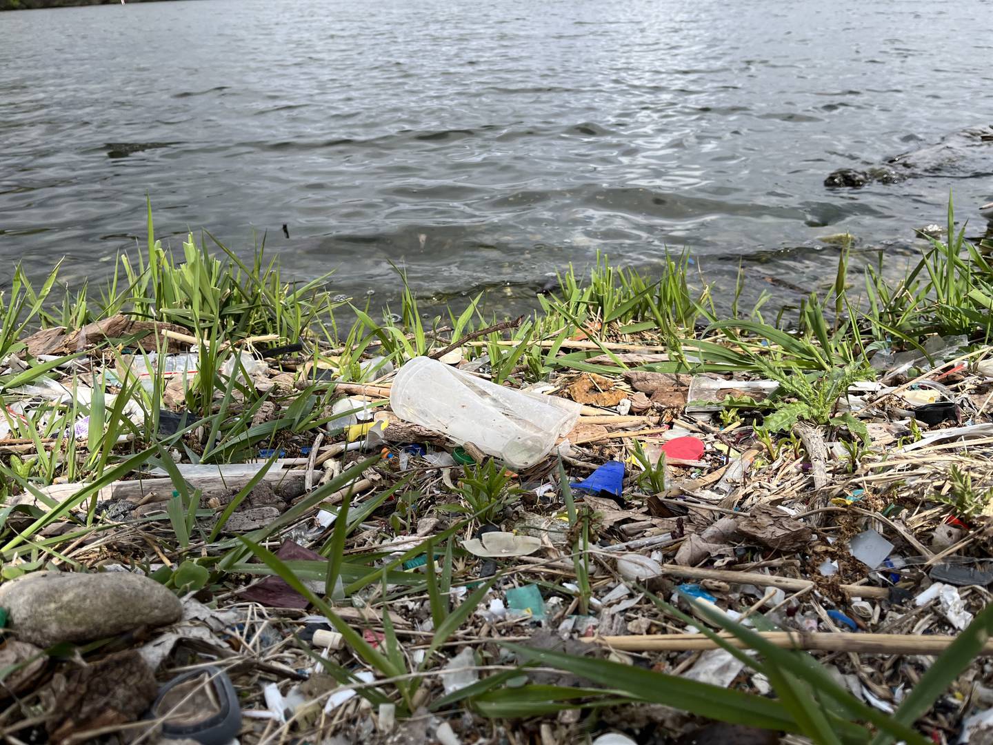 Litter visible on the shoreline at the Rock Run Rookery Preserve on Saturday in Joliet.