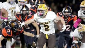 McHenry County area: Northwest Herald statistical leaders through the 2023 regular season