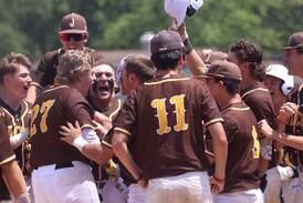 Baseball: Jacobs’ late rally falls short against Hononegah in Class 4A D-C Sectional title game